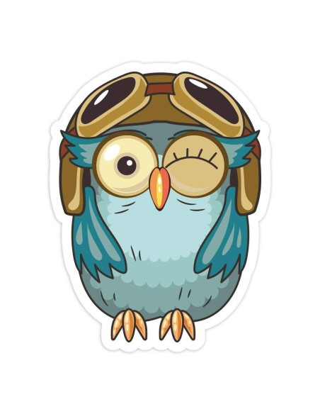 Nažehlovačka sovička letec