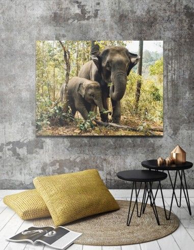 Obraz slony