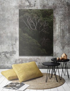 Obraz na stenu stromy