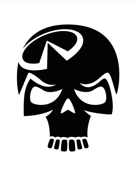 Nálepka infiniti lebka