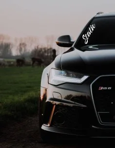 Nálepka na čelné sklo auta Static