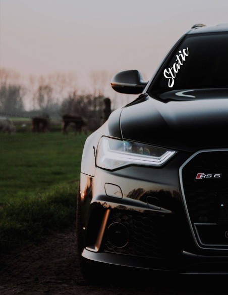 Nálepka na čelné sklo auta Static