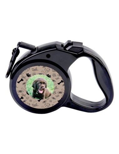 Automatické vodítko pre psa (so svojim menom a...